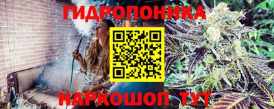 прущая мука Тверь