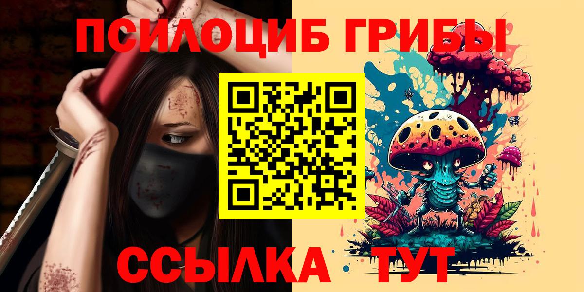 Нижнеудинск  Галлюциногенные грибы Psilocybine cubensis  Вход с VPN 