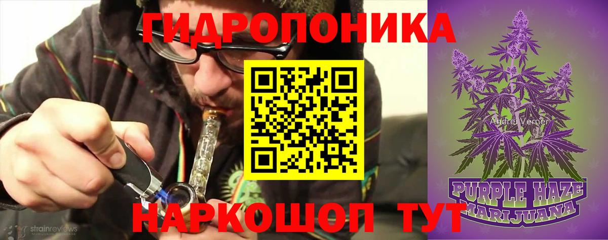 Бошки марихуана Ganja  Марихуана планчик  Вход с VPN  Шишки марихуана индика  Нижнеудинск 
